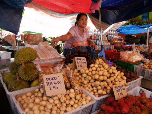 Durian, duku, rambutan en langsat te koop!