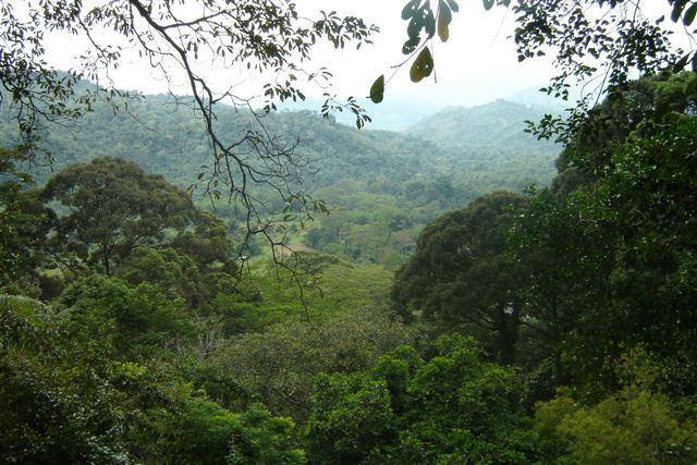 Het Kinabalu Park